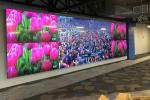 46inch Samsung 1.7mm 2x2 video wall 4x4 LCD Video Screen for Shopping Mall