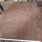 Furniture 610x2440mm Moisture 8% Sapele Faced Plywood