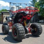 1000w Youth Racing ATV Utility Vehicle Single Cylinder Air Cooled With Reverse