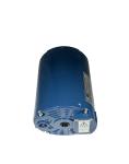 Induction AC motor