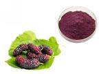 Anthocyanin Fruit Mulberry Herbal Extract Powder For Food Additives
