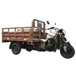 Cargo 2000kg Disability Trike Three Wheel Motorcycle
