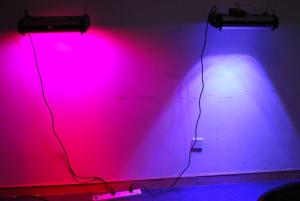 China CIDLY 300W sunrise sunset good quality led aquarium reef coral light with dimming timer factory