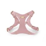 Hot Selling Other Pet Harnesses Pet Dog Leash Training Harness For Dogs