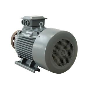 China Natural Cooled Rare Earth NdFeB Permanent Magnet Alternator factory