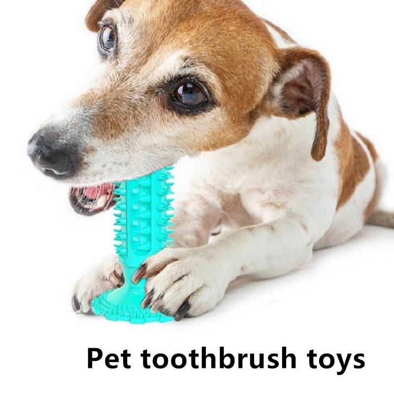 tough dog chews 