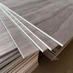 Furniture Poplar Hardwood Veneer Plywood Mildewproof Durable