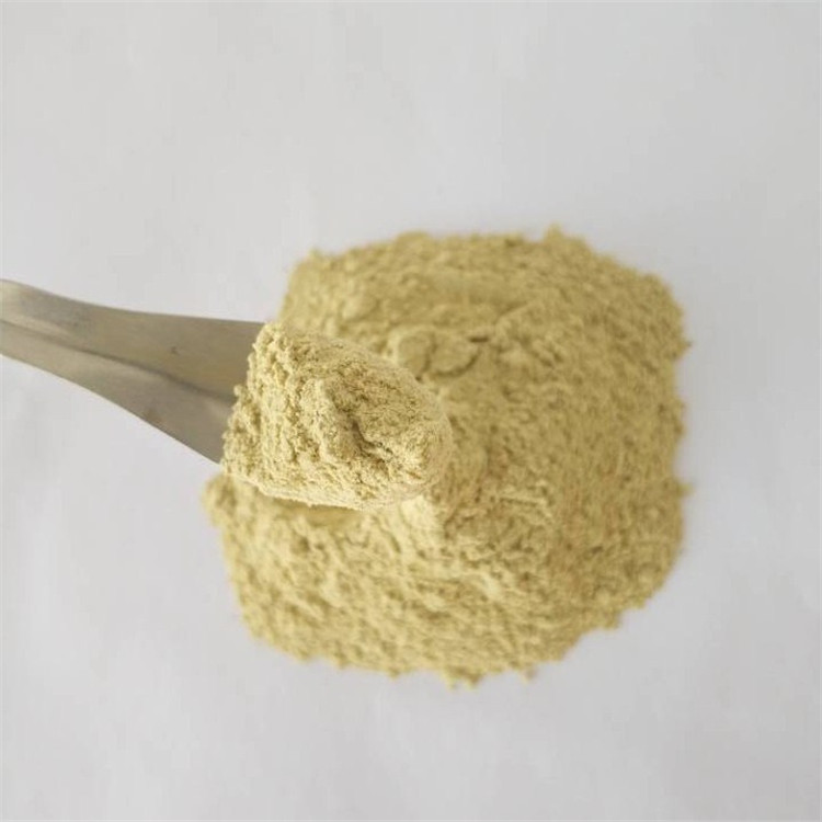 Immune Anti-fatigue 8% Apple Cider Vinegar Powder