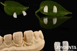 China High Durability Ultrathin Micro Veneer With Natural Wood 0.2mm Thickness factory