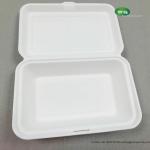 9x6 Inch(715ml) Sugarcane Clamshell Biodegradable Bento Lunch Box-Eco Friendly,