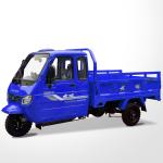 Dayang Tricycle 200cc/250cc/300cc Motorcycle with 5.00-12 Tyre and 1000kg