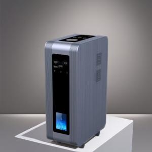 China Hydrogen Inhalation Machine Antioxidant Anti-Inflammatory Household 3000ml WEIZI factory