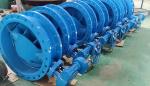 OBM Customized Metal Seat Standard Specification Drain Valve for Butterfly