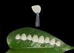 Ultra Thin Ceramic IPS EMAX Veneer Stain Resistance For Esthetic Restorations