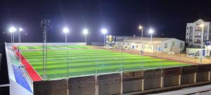 China 16.5 Stitches Football Turf 50mm Pile Height Weaving With PP Net SBR Backing factory