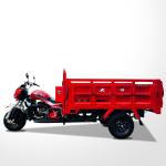 250cc Automatic 3 Wheel Motorcycle Chassis 50*100 Luxury Carriage Motorized