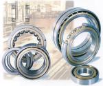 Stainless Steel Angular Contact Ball Bearing