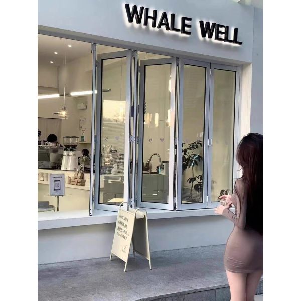 Self-Cleaning Glass Folding Windows - Hydrophobic Nano Coating