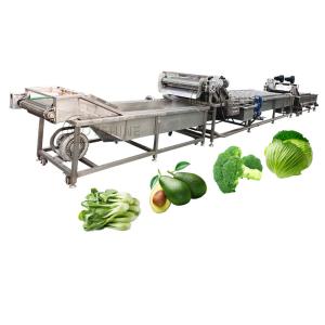 China Bubble Peeling Brush Vegetable Washing Machine 300-500kg/H For Carrot Cassava Apple factory
