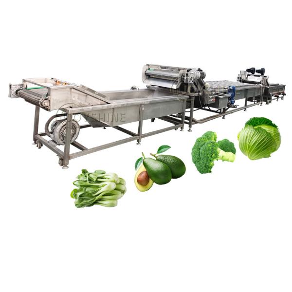 Bubble Peeling Brush Vegetable Washing Machine 300-500kg/H For Carrot Cassava