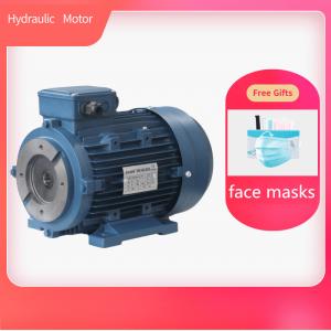 China Hollow Shaft Hydraulic Electric Motor Aluminum Housing With Free Gifts Face Mask factory