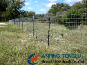 China Hinge Joint Wire Mesh/Field Fence, High Strength&amp;Corrosion Resistance factory