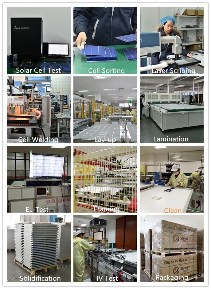 320W Poly Solar Panel Power for Green Energy