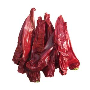 China HACCP 0.5 - 1.5cm Chilli Ring High Polished Pungent Chilli Flavor 20KG/CTN factory