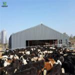 Custom Steel Structure Poultry House Hot Rolled Steel Cost Effective