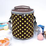 Polyester Picnic Cooler Bag
