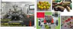Electric Pharmaceutical Machinery For Food / Softgel Capsule Making Machine