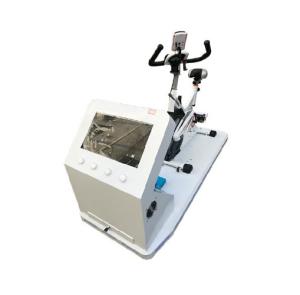 China Racing Game VR Arcade Machine With Steering Wheel 7D Hologram Technology factory