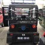 40km/H Closed 300w Solar Powered Electric Vehicle