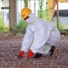 Buy cheap EN14126 Anti-static microporous type 456 disposable coverall for virus from wholesalers