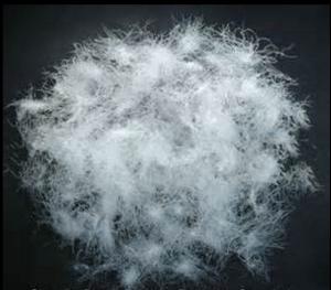 China Raw Marerial 90%, 80% White Duck Down factory