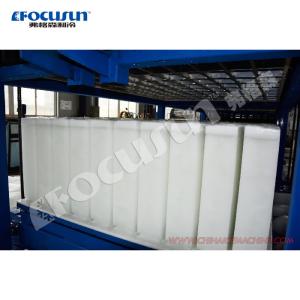 12 Tons Per Day Industrial Block Ice Making Machine for Large Scale Ice