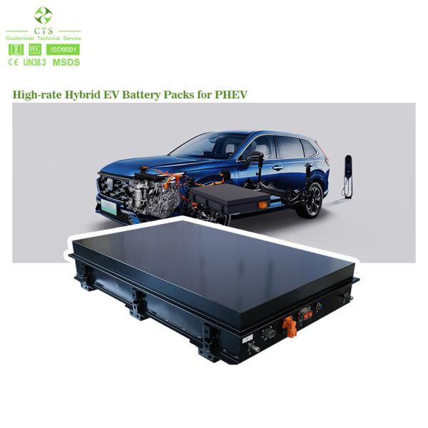 EV 20KWH 25KWH Lithium Battery 300V 400V 30ah 40ah Lifepo4 Battery Pack For