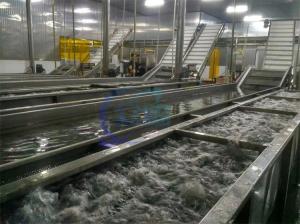 China Automatic Crayfish Fruit And Vegetable Washing Machine Cassava Washing Machine factory