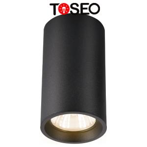 China G10 Cylinder Surface Mounted Downlight Spotlight For Hotel Office factory