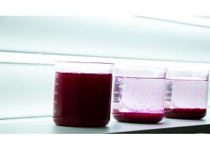 China Water Treatment Flocculating Agent Coagulator water Decoloring Agent factory