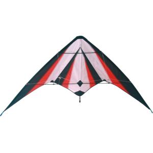 Variability of the diamond stunt kite fish sharp style with beach