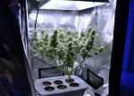Aluminum 150lm/W IP65 400 Watt LED Grow Lights