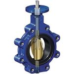 2 4 inch Stainless steel cast ductile iron Lug type butterfly valves manufacture