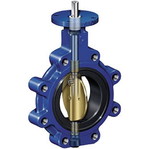 2 4 inch Stainless steel cast ductile iron Lug type butterfly valves manufacture