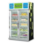 Vendlife Sandwich Dispenser Machine 50Hz 0.5KW For Double Door
