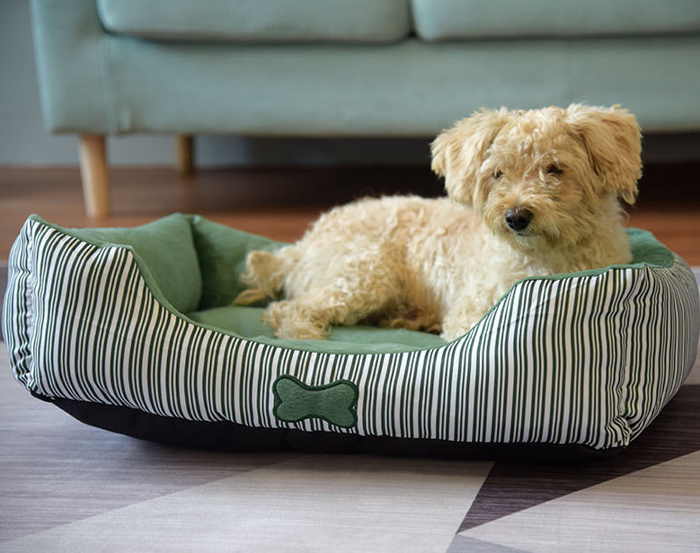 quality dog beds