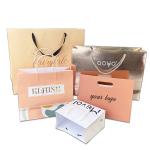 Custom Order Logo Luxury Gift Shopping Paper Bag with Your Own Logo Other Gift