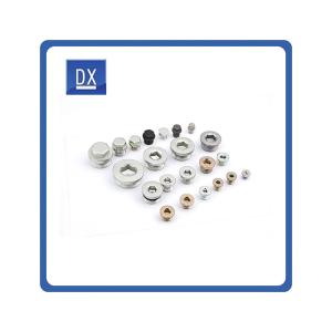 China Custom Oil Drain Plugs High Quality High Strength Bolt factory