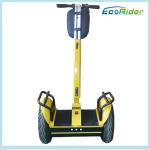 City Self Balancing Transporter / 2 Wheel Electric Balance Scooter ESIII-L2