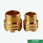 Male Brass Inserts Customized Designs For Ppr Fittings